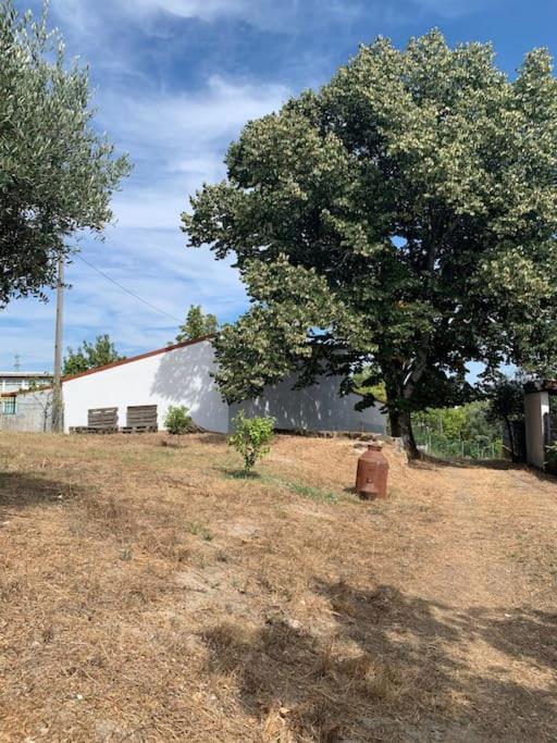 넬라스 Casa Da Oliveira 빌라 외부 사진