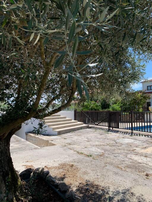 넬라스 Casa Da Oliveira 빌라 외부 사진